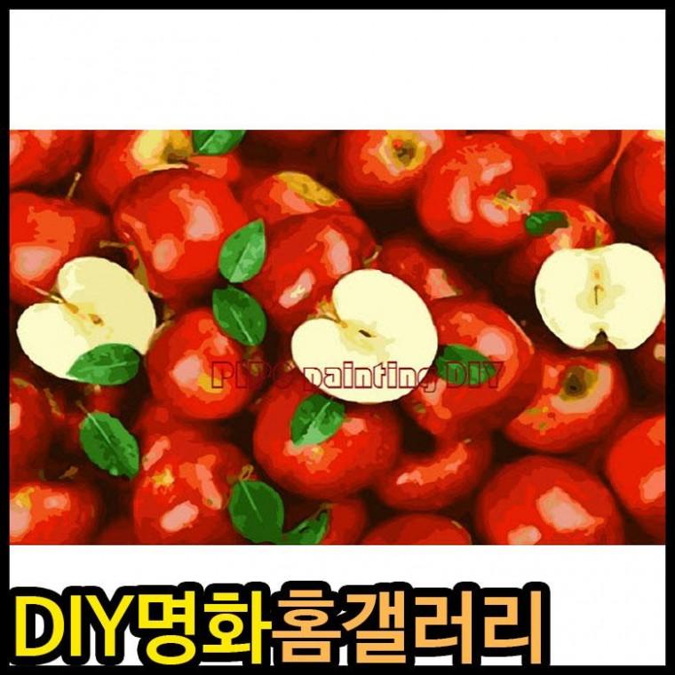 아이윙스 피포페인팅 P3003 행복 돈 복을 부르는 사과 65x40 대형 DIY명화그리기 DIY그림그리기