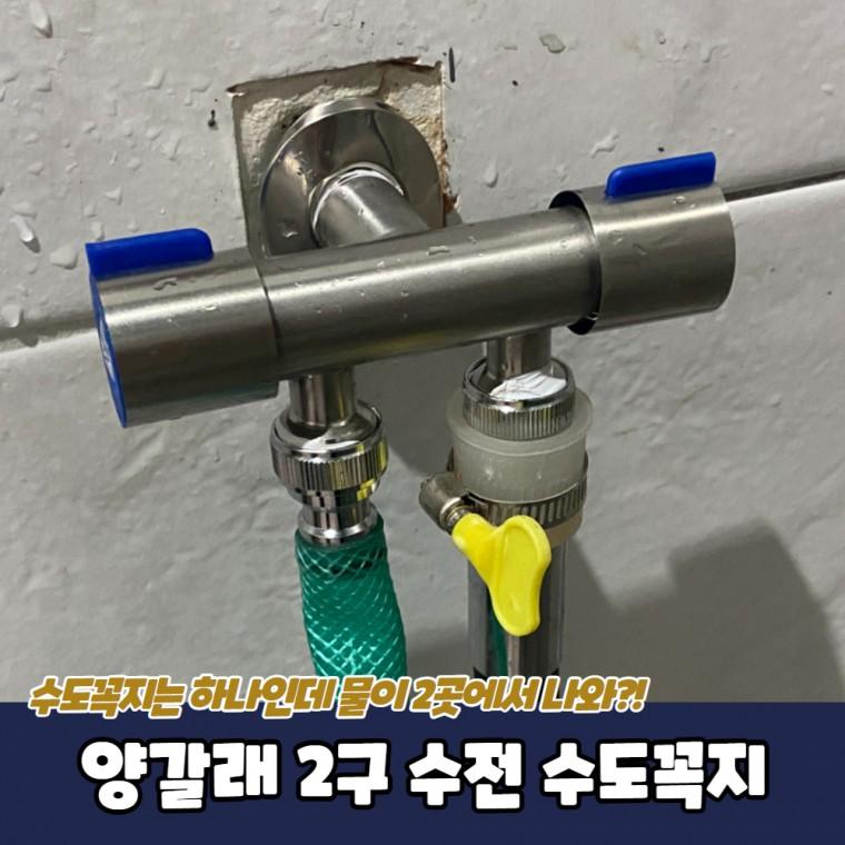 양갈래 2구 수전 수도꼭지