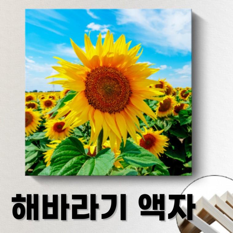 해바라기 그림 사진 액자 돈들어오는 거실 인테리어 선물