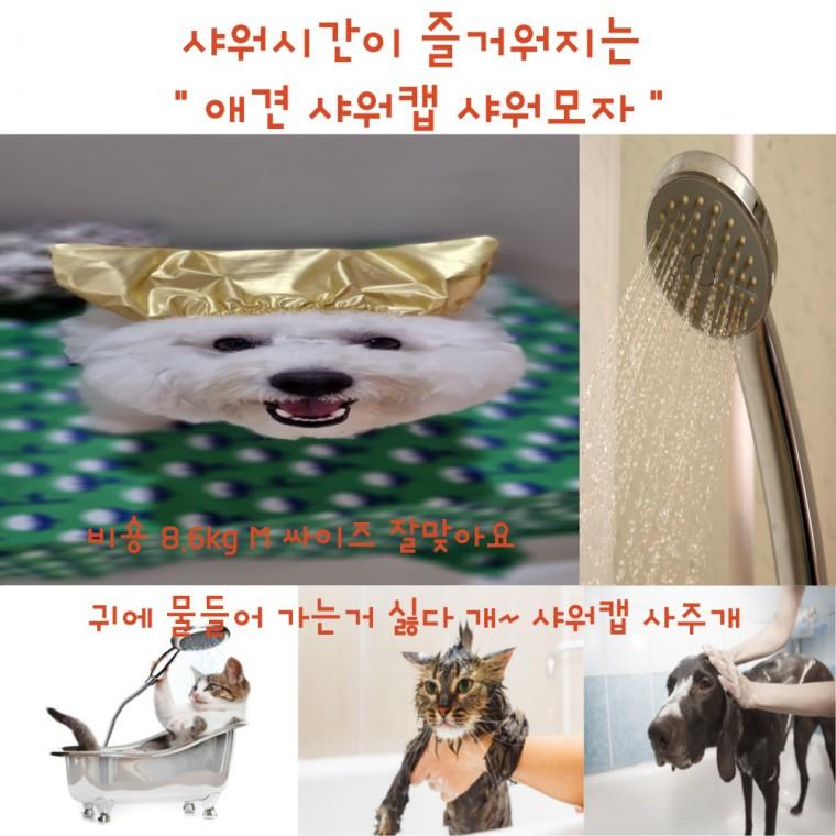 [사러왕]강아지 고양이 목욕 방수 귀마개 애견 샤워캡 모자 물놀이 헤어밴드 스파 목욕용품