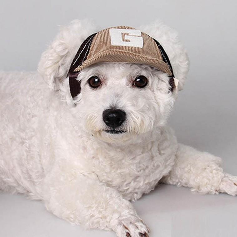 즐거운 산책시간 필수템 애완 강아지 고양이 패션 캡 모자 사이즈조절 코듀로이