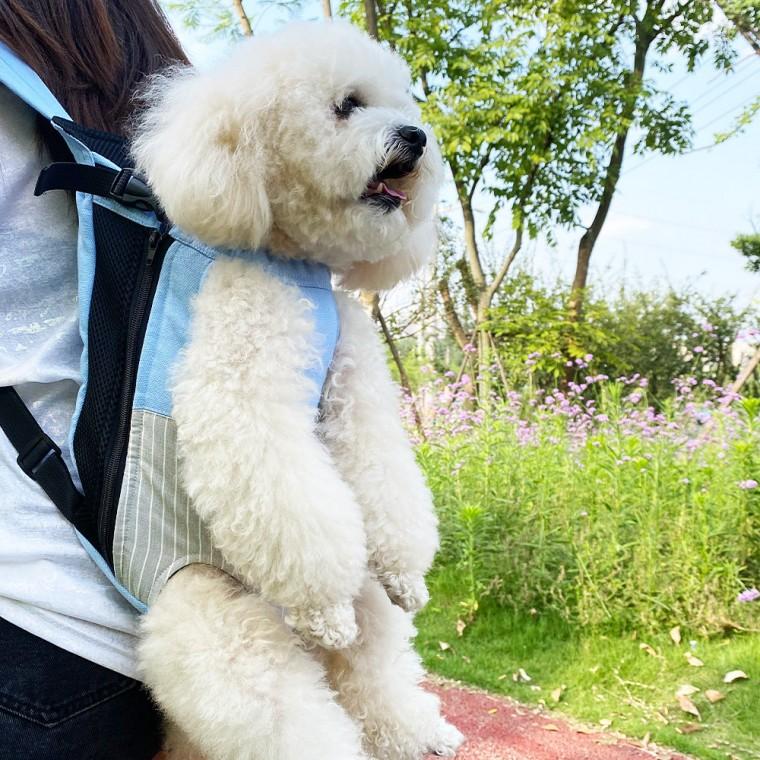 혼시티 반려견 강아지 앞가방 포대기 블루