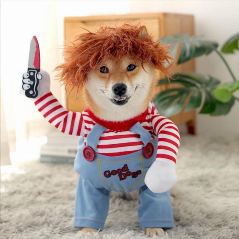 강아지 처키옷 할로윈 고양이 옷 코스튬 파티 이벤트 반려동물 애견옷 M
