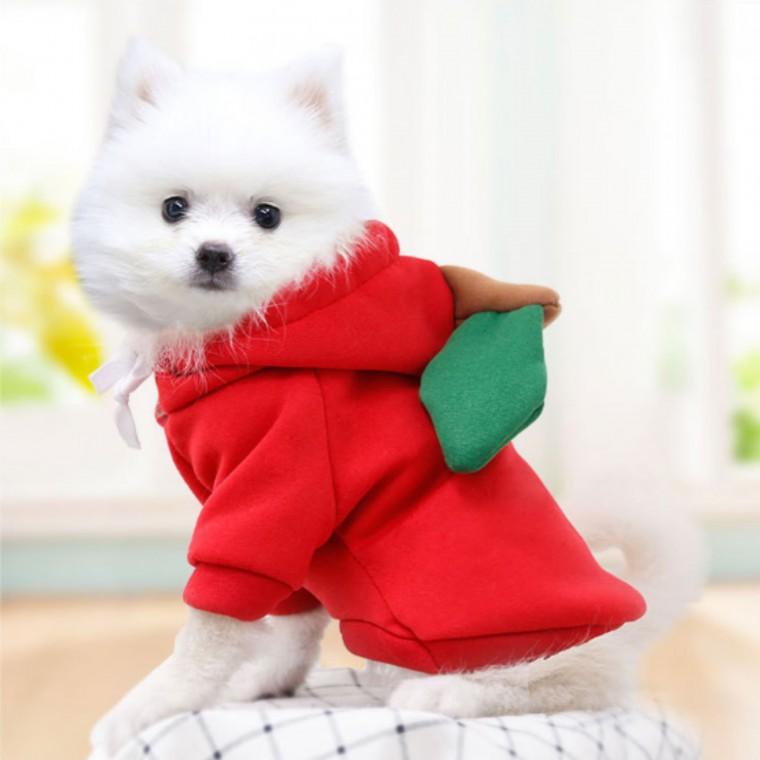 귀여운 강아지옷 고양이옷 반려동물 애견옷 과일옷 사과 M