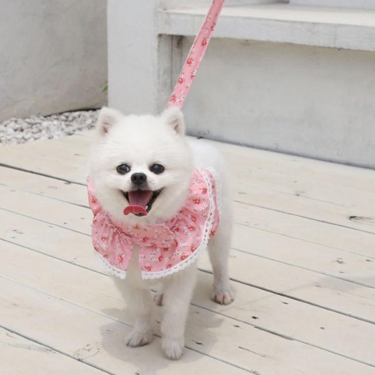 러블리 강아지옷 레이스 고양이 반려동물 하네스 핑크 L