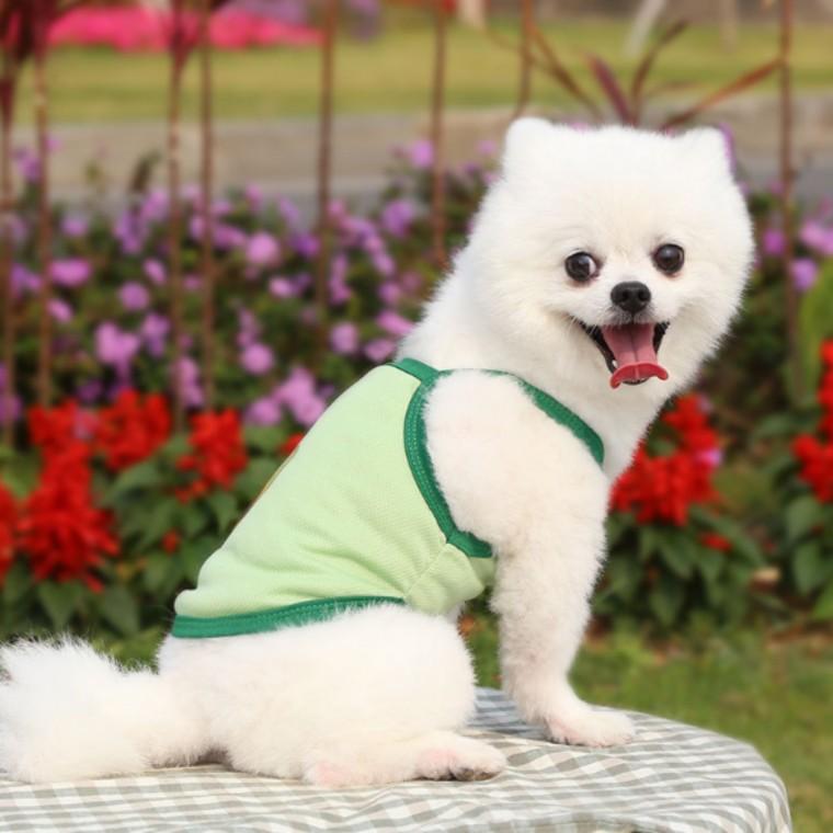 귀여운 아보카도 강아지 고양이 반려동물 애견옷 S