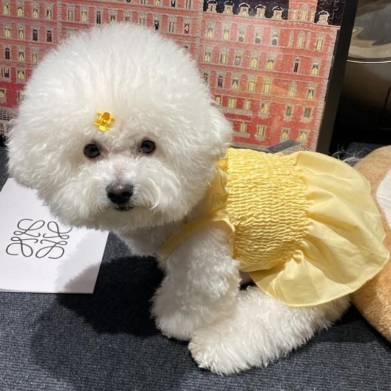 플라워 드레스 강아지 고양이 옷 애견옷 옐로우 XS