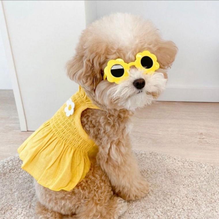 플라워 드레스 강아지 고양이 옷 애견옷 옐로우 S