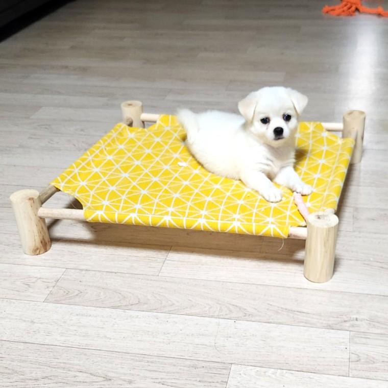 강아지 해먹 침대 애견 의자 소파