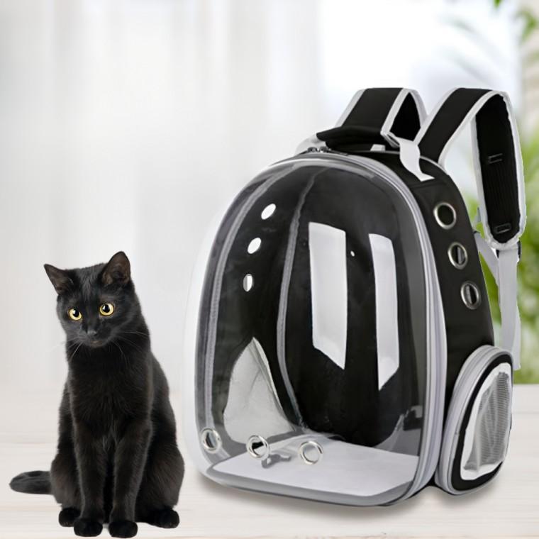 반려동물 투명 백팩 고양이 강아지 외출 이동가방