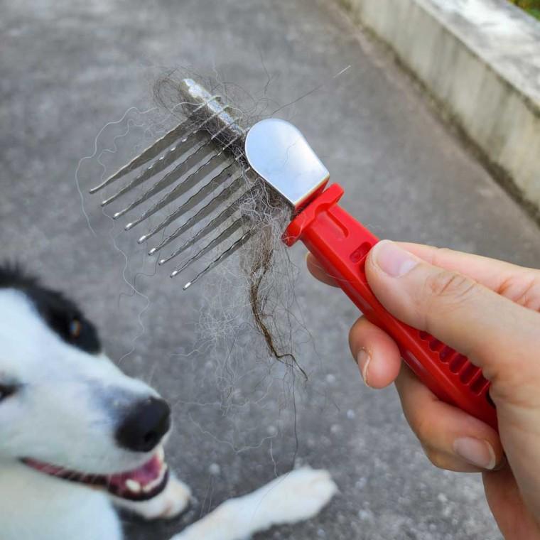 반려견 털갈이 엉킴 제거 스테인레스 빗