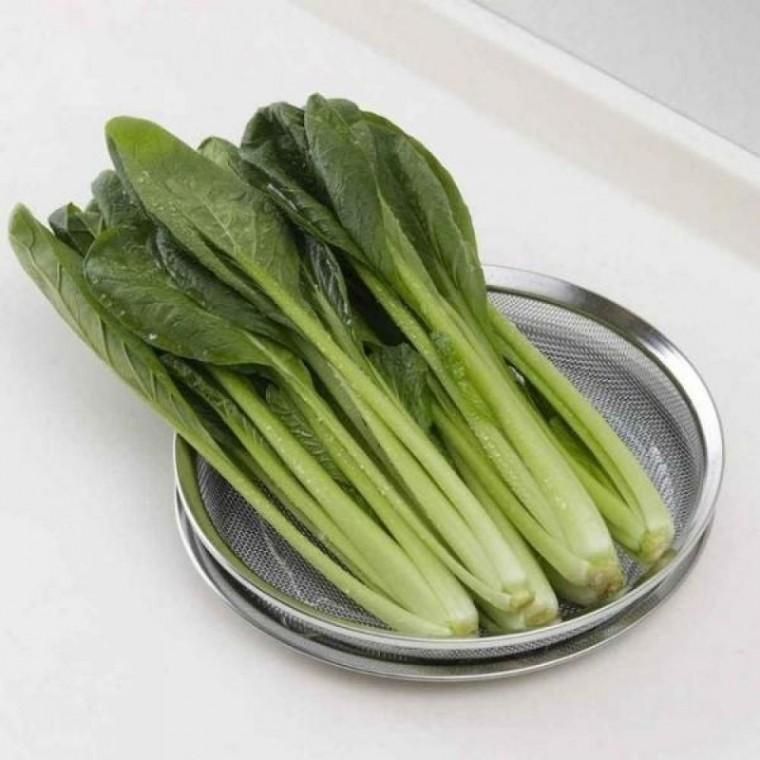 스텐채반 25cm 채반 스텐트레이