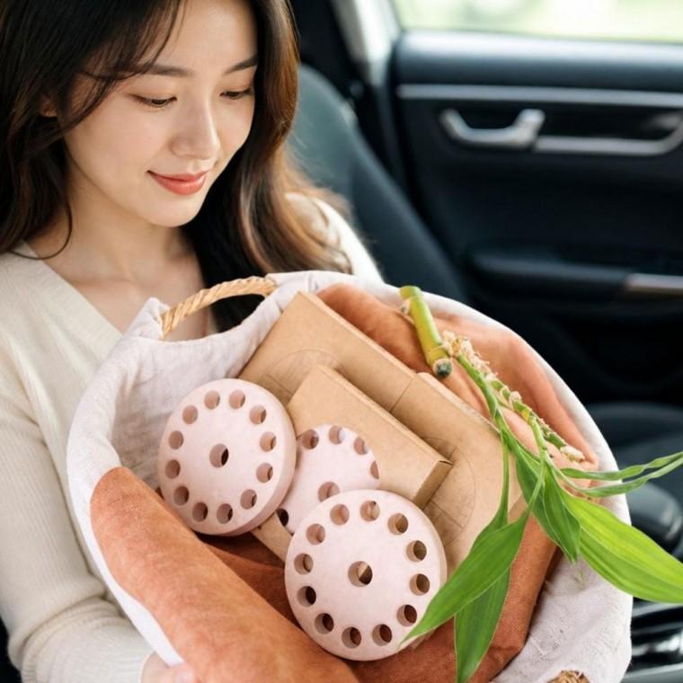 습기제거 탈취제 실내 공기 케어 용품 반영구 제습 아이템